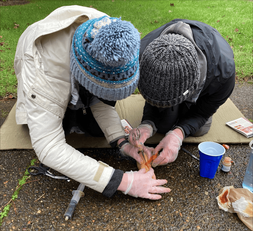 Students completing a wounds lab in a WMTC course.