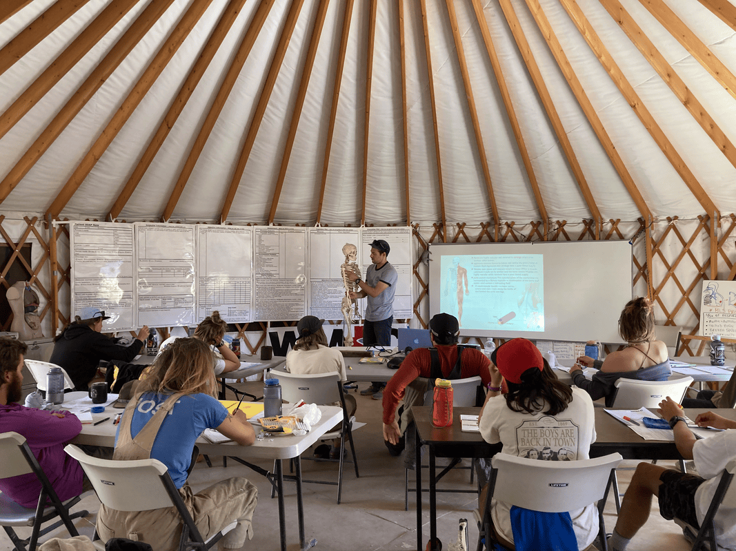 Whiteboard as Projector Screen